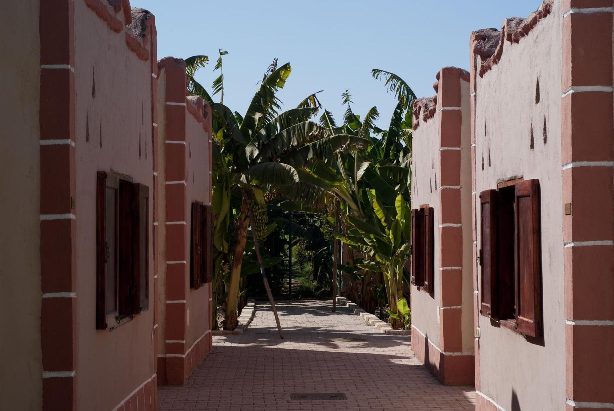 Al Baeirat Hotel Luksor Dış mekan fotoğraf